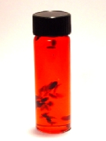Gemini (May 21 - June 21) Spiritual Oil